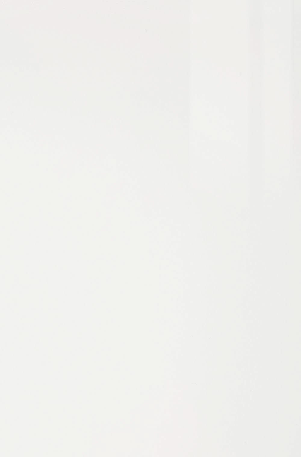 Glossy White - Kabinets.ca